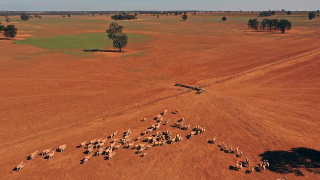 Scott Morrison believes the loans will make it easier for farmers to buy fodder, transport stock, build water infrastructure and refinance existing debt.