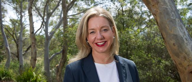 Senator Bridget McKenzie has previously served as sports minister.