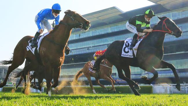 Private Eye can bounce back from his last start fourth to take out the Bill Ritchie Handicap. Picture: Getty Images