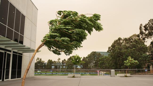 Strong winds and dust storms across western Sydney. Picture. Phil Hillyard