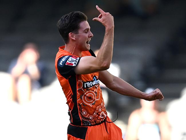 MELBOURNE, AUSTRALIA - JANUARY 22: Jhye Richardson of the Scorchers celebrates getting the wicket of Matthew Wade of the Hurricanes during the Big Bash League match between the Hobart Hurricanes and the Perth Scorchers at Marvel Stadium, on January 22, 2021, in Melbourne, Australia. (Photo by Quinn Rooney/Getty Images)