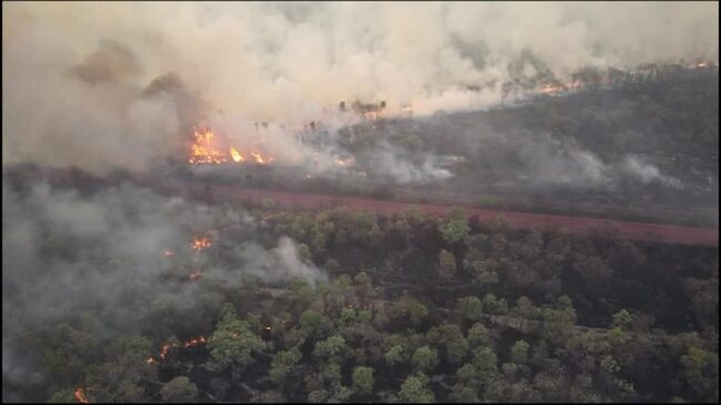 Raging Wildfire Menaces Wildlife In Eastern Bolivia 