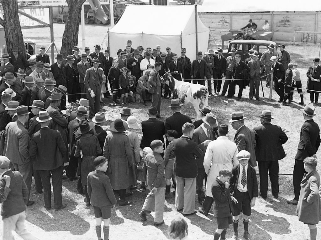 Mercury Archive historical file picture Royal Hobart Show.