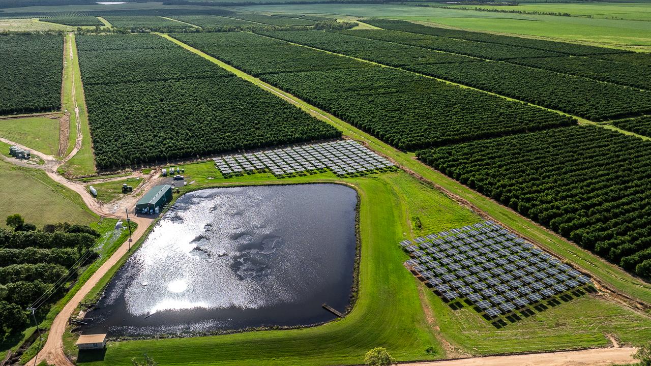 Folium Capital put Australian almond and avocado orchards on the market ...