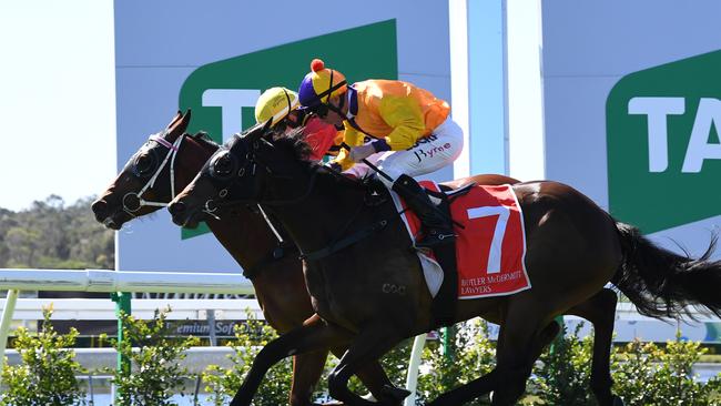 Jim Byrne takes Spiritual Rose on to win race one at Corbould Park.