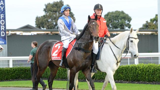 Jamie Kah will ride Angel Capital at Doomben on Saturday. Picture: Ross Holburt — Racing Photos via Getty Images.