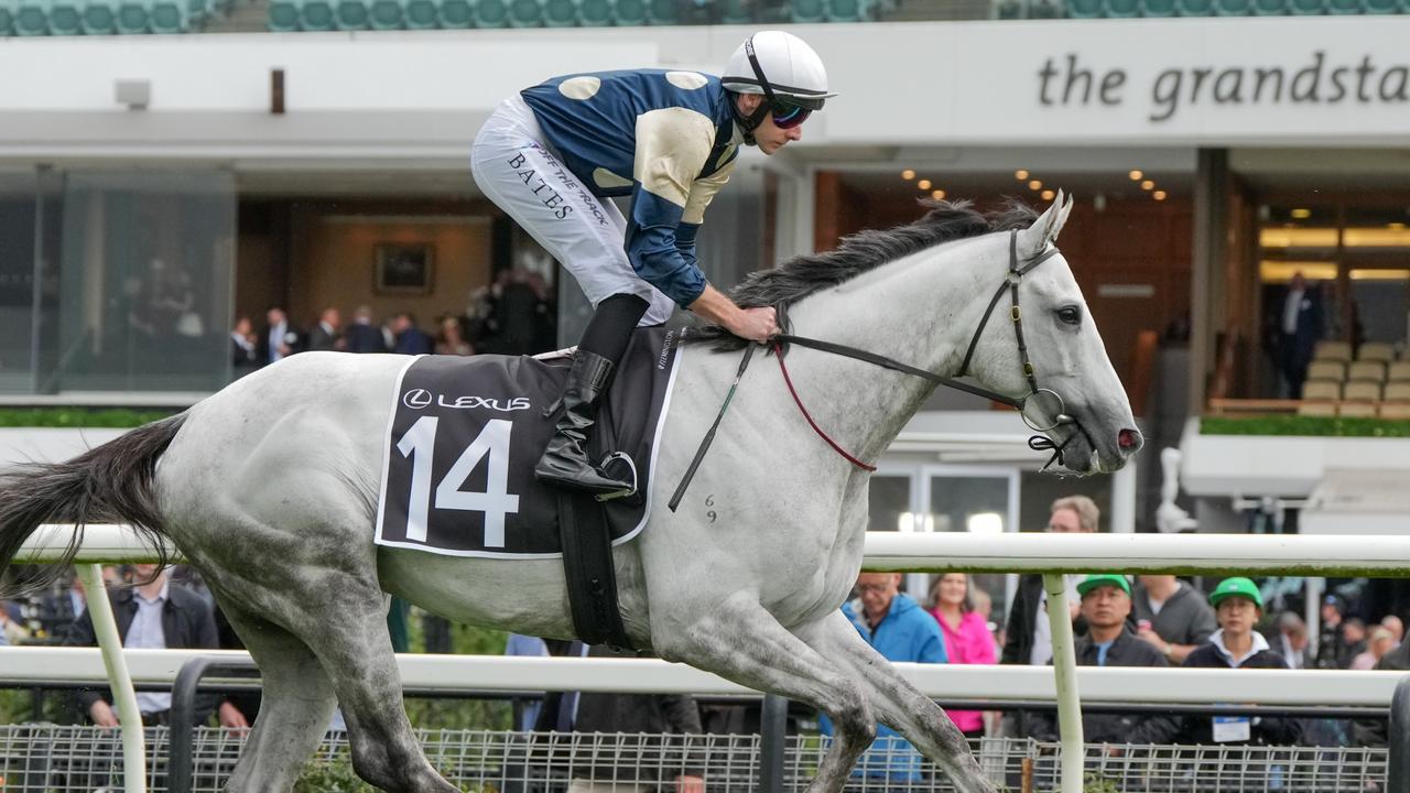 Saint George will aim to boost his Melbourne Cup ambitions on Friday night in the Moonee Valley Gold Cup. Picture: George Sal/Racing Photos via Getty Images