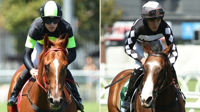 Accredited and Disneck are set for a showdown this Saturday at Rosehill Gardens