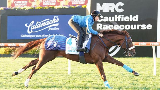 Japanese Caulfield Cup raider Breakup (Damian Lane) stretches out in trackwork at Caulfield this morning. Picture: Scott Barbour/Racing Photos