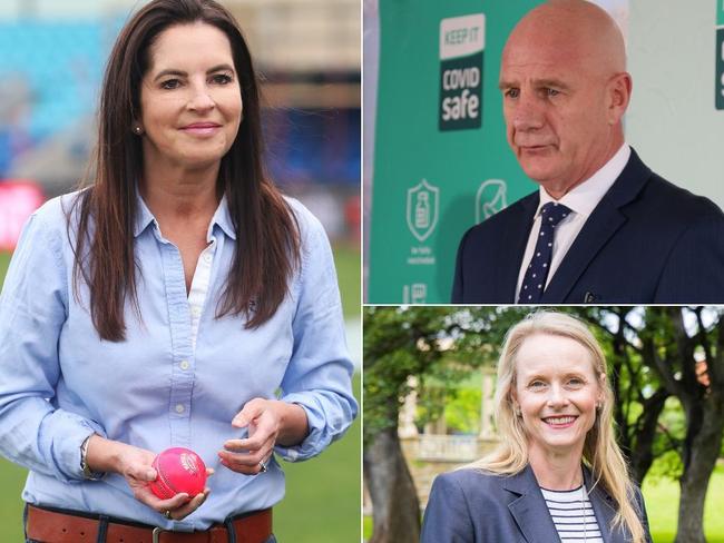 Tasmanian politics year in review for 2022.