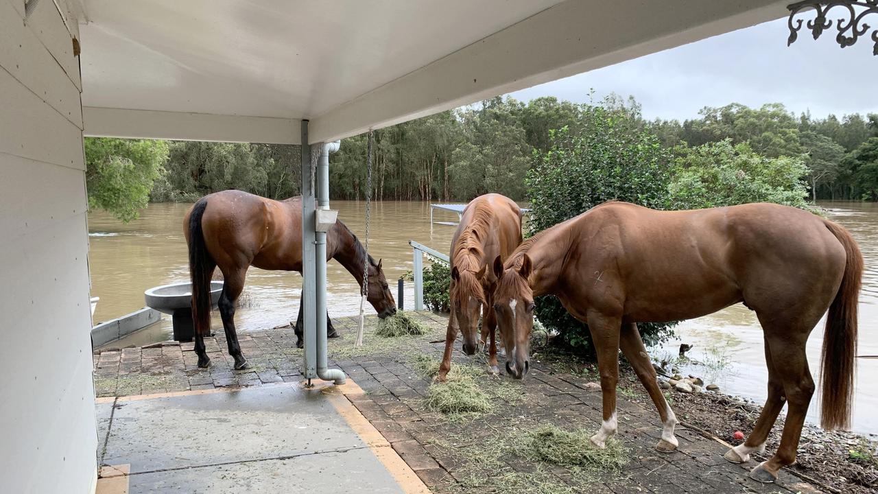 Former jockey Melinda Turner was one of hundreds forced to evacuate. Picture: Nathan Edwards