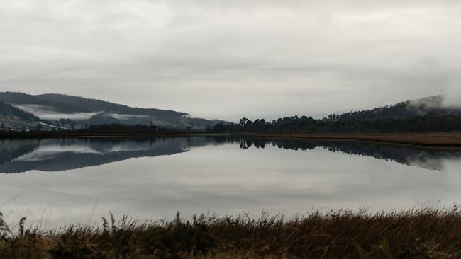 The view from Matthew Evans’s Fat Pig Farm. Picture: Adam Gibson