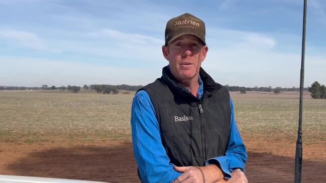 NSW farmers hoping for a seasonal break