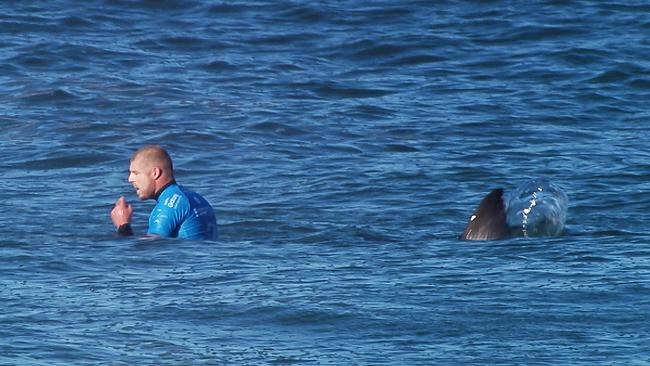 Mick Fanning shortly before being attacked by a shark at the J-Bay Surf Open in South Africa. Picture: AFP