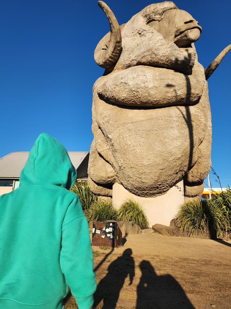 The famous Big Merino in Goulburn. Picture: Ben Graham/news.com.au