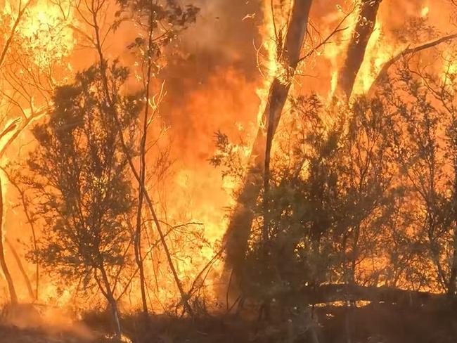 Marshall has warned of the dire consequences and “frightening community safety outcomes”. Picture: Supplied