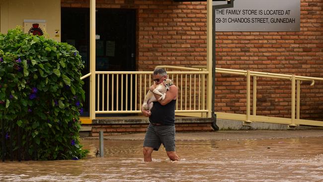 For this resident, the weather has gone to the dogs. Picture: Amy Burling / Severe Weather Australia