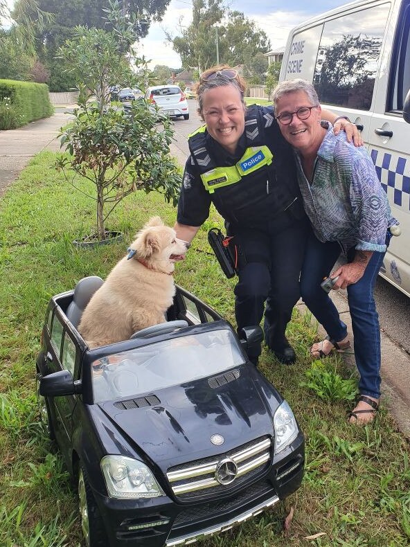 Buddy, Leading Constable Lynda Giblett and Buddy’s owner Terri.