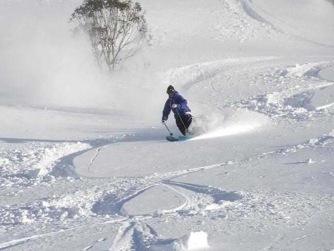 A skier carves a path through fresh powder.