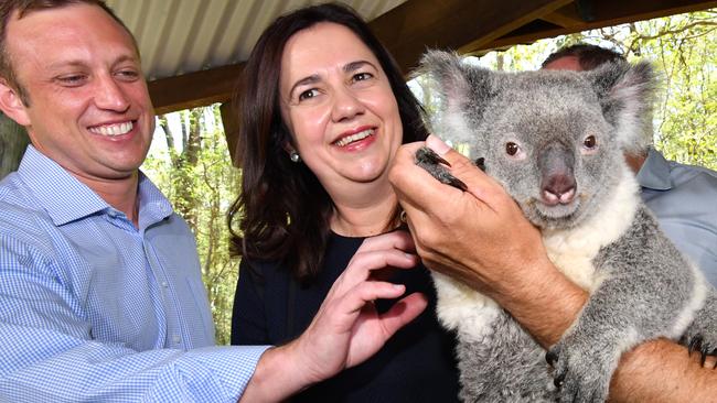 Queensland Minister for Environment and Heritage Protection and Minister for National Parks and the Great Barrier Reef, Steven Miles (left) and Queensland Premier Annastacia Palaszczuk (right) are seen with Nala the Koala at Daisy Hill Koala centre in Brisbane.