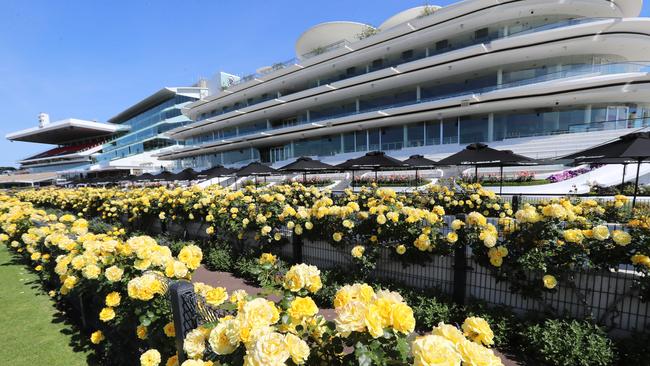 … but the famous Flemington roses look lovely. Picture: Alex Coppel.