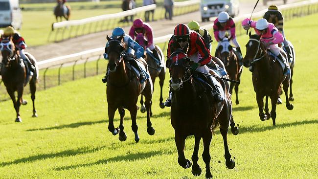 <s1>CUP WIN: My Shumai wins the Natrano Produce Open Cup at the 2019 Innisfail Banana Industry Race Day. Last Saturday’s TAB meeting at Pease Park was washed out and scheduled upgrades may delay the club’s chance to host another TAB meeting in the near future.</s1>