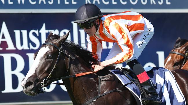 Genzano also returns at Royal Randwick. Picture: Jeremy Ng/Getty Images