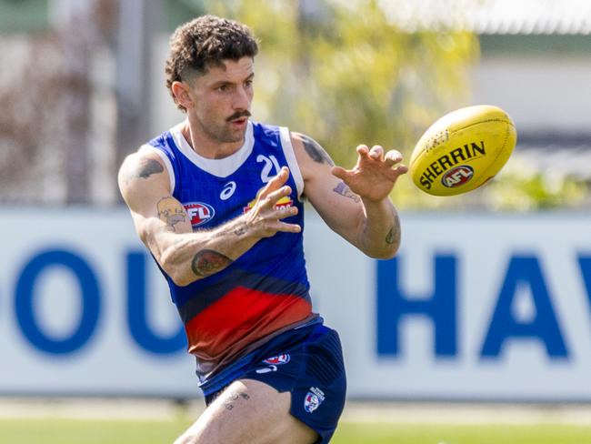 Tom Liberatore could reward his small band of loyal owners. Picture: Jake Nowakowski