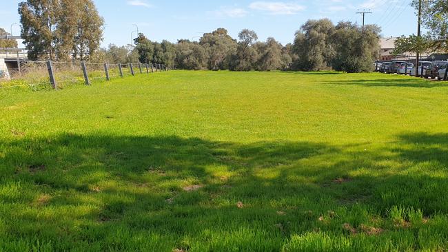 The olive grove near the Adelaide Gaol where the new WCH carpark will be built. Picture: Colin James