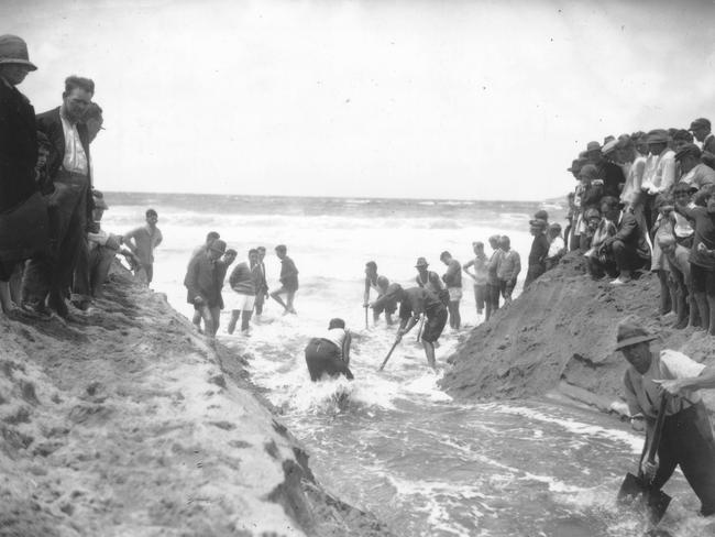 Narrabeen Lagoon being opened manually in the late 1920s. Picture: State Library of NSW