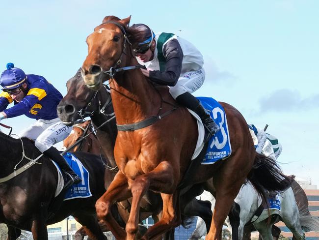 Rise At Dawn will back up in Saturday's Stradbroke Handicap. Photo: George Sal/Getty Images.