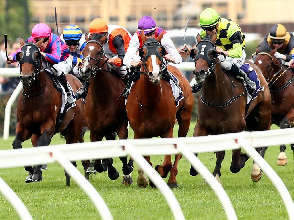 Warning (left) stakes his claim at the business end of the Super Impose Stakes.