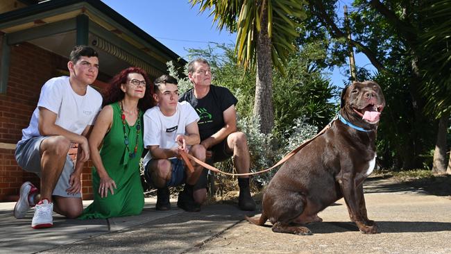 Cameron, Tess Ryan and Grant Petrusevics with their children Ryan and Cameron and their four-year-old chocolate labrador cross Teddy. Picture: Keryn Stevens