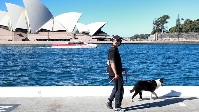 A man walks his dog in Circular Quay in Sydney. Picture: NCA NewsWire / Dylan Coker