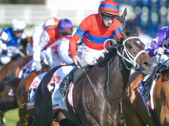 Very Elleegant ridden by Mark Zahra wins theStella Artois Caulfield Cup on Caulfield Cup Day at Caulfield Racecourse on October 17, 2020 in Caulfield, Australia. (Reg Ryan/Racing Photos via Getty Images)