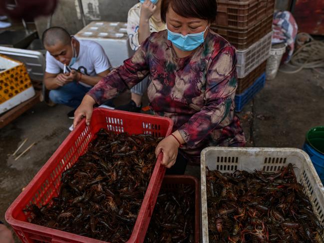 A woman offers prawns for sale at the Wuhan Baishazhou Market in Wuhan in China's central Hubei province. Picture: AFP