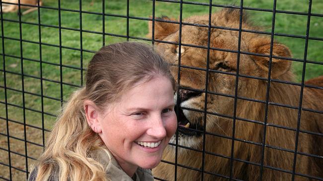 LEGAL WARNING, WARNING. WEEKEND TELEGRAPHS SPECIAL.  MUST TALK WITH PIC ED JEFF DARMANIN BEFORE PUBLISHING.  ZOO keeper Jen Brown talks exclusively with Cyd Mardon.  Jen back at work with Lion , Hulk  at the Central Coast Zoo. Picture Jeff Darmanin