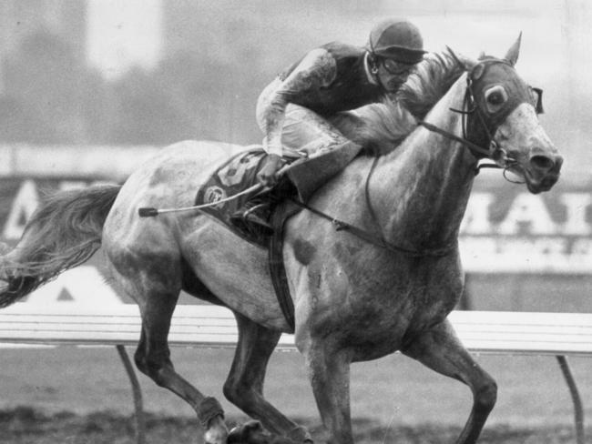 Subzero, with jockey Greg Hall, on his way to winning the 1992 Melbourne Cup.