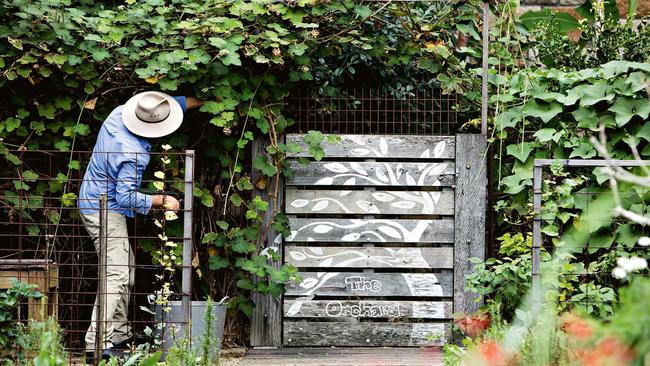 Justin Hemmes vegetable garden. Picture: Jason Busch