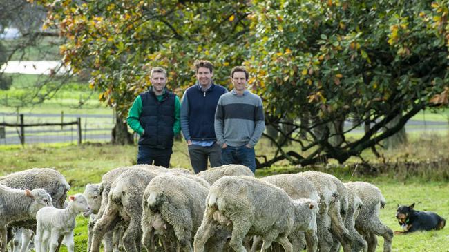 Jason Arnall and Tom and Alastair Dennis from Tarndwarncoort at Warncoort in Victoria. Picture: Zoe Phillips