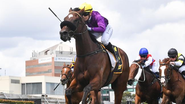 Is It Me will head to Bendigo on Saturday after a delayed start to his campaign. Picture: Pat Scala/Racing Photos via Getty Images