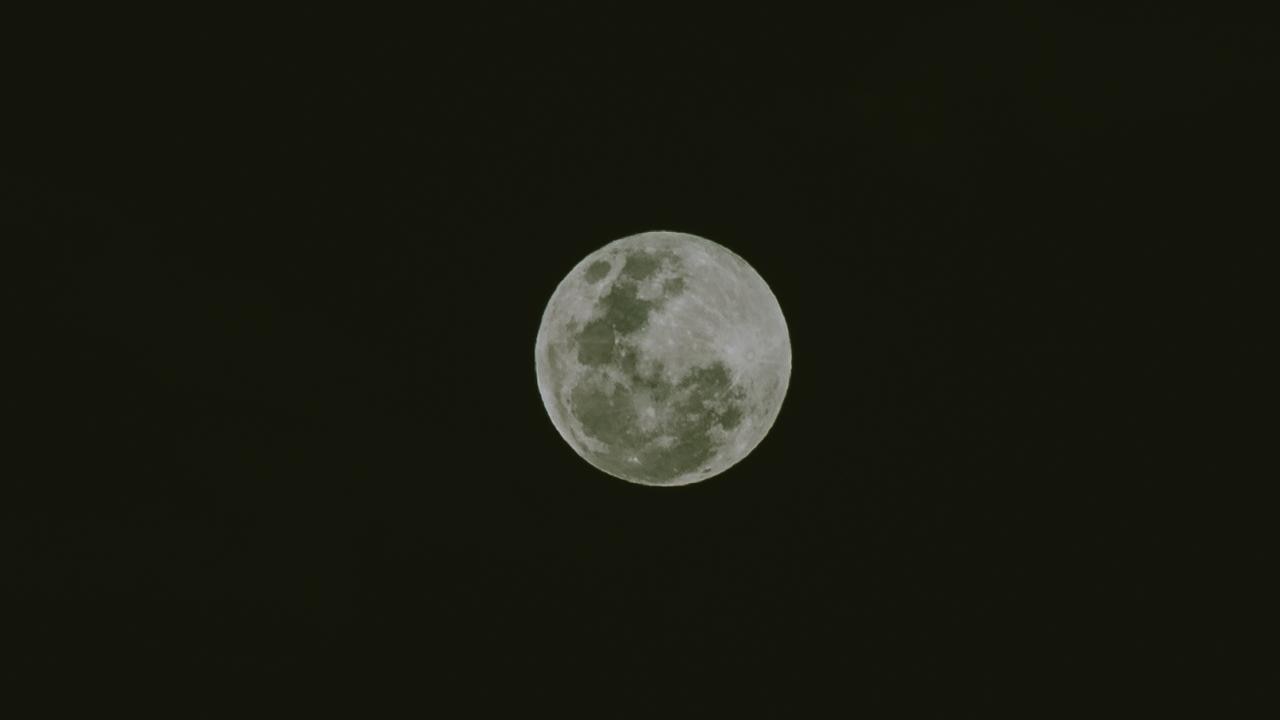 Hunter’s Moon the day of Ashtyn and Ben’s wedding. Picture: Bec Smart Photography