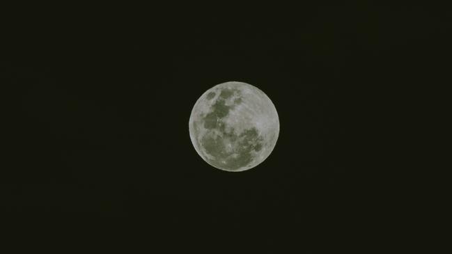 Hunter’s Moon the day of Ashtyn and Ben’s wedding. Picture: Bec Smart Photography