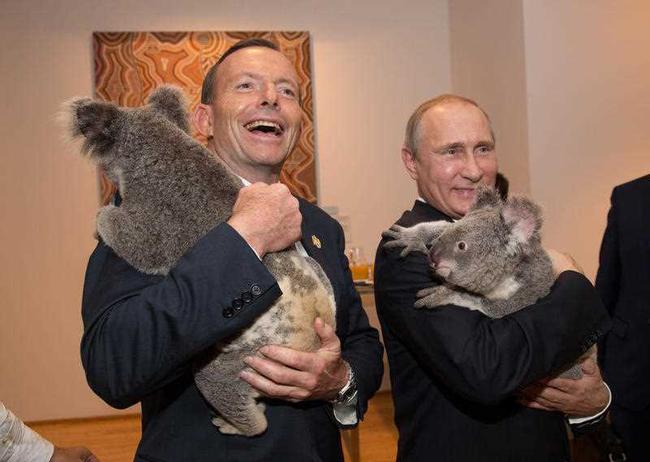 In this photo released by G20 Australia and taken on Saturday Nov 15, 2014, Prime Minister of Australia Tony Abbott and President of Russia Vladimir Putin hold koala's during a photo opportunity on the sidelines of the G-20 summit in Brisbane, Australia. . Picture: AP Photo - G20 Australia, Andrew Taylor