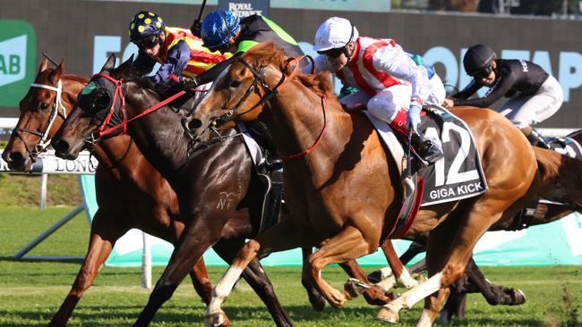 The Everest winner Giga Kick (outside) is being tested over 1400m in the All Aged Stakes with a few to targeting the Golden Eagle in the spring. Picture: Grant Guy