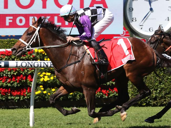 Osipenko ridden by Nash Rawiller winning the Frank Packer Plate at Royal Randwick on April 15, 2023. Picture: Grant Guy