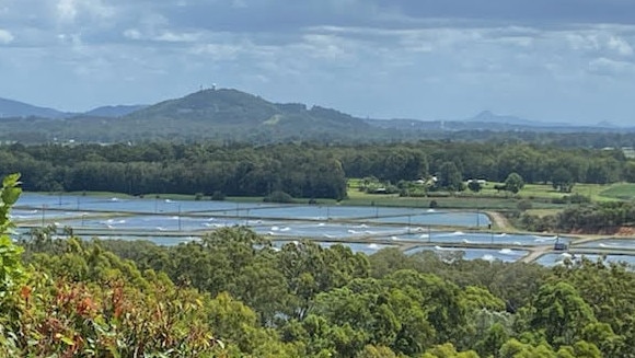 Seafood lovers in flood-affected southeast Queensland may be forced to pay premium prices for prawns, crabs and Moreton Bay bugs this Easter.