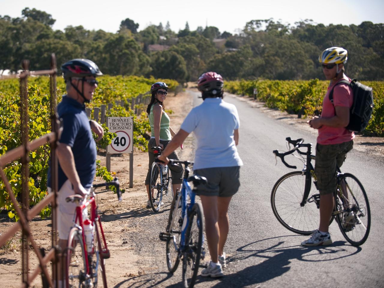 Cycling through vineyards, Barossa Valley. Picture SA Tourism Commission
