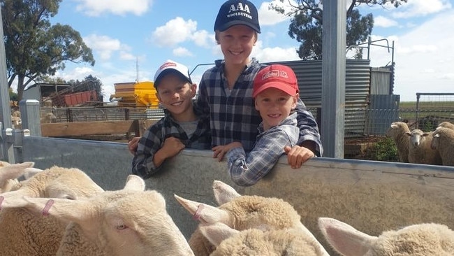 Heath, William and Thomas Ogden with the pen of lambs they sold for the Good Friday Appeal. Picture: Supplied