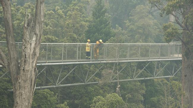 Firefighting crews at Tahune Airwalk. Picture: WARREN FREY/TFS